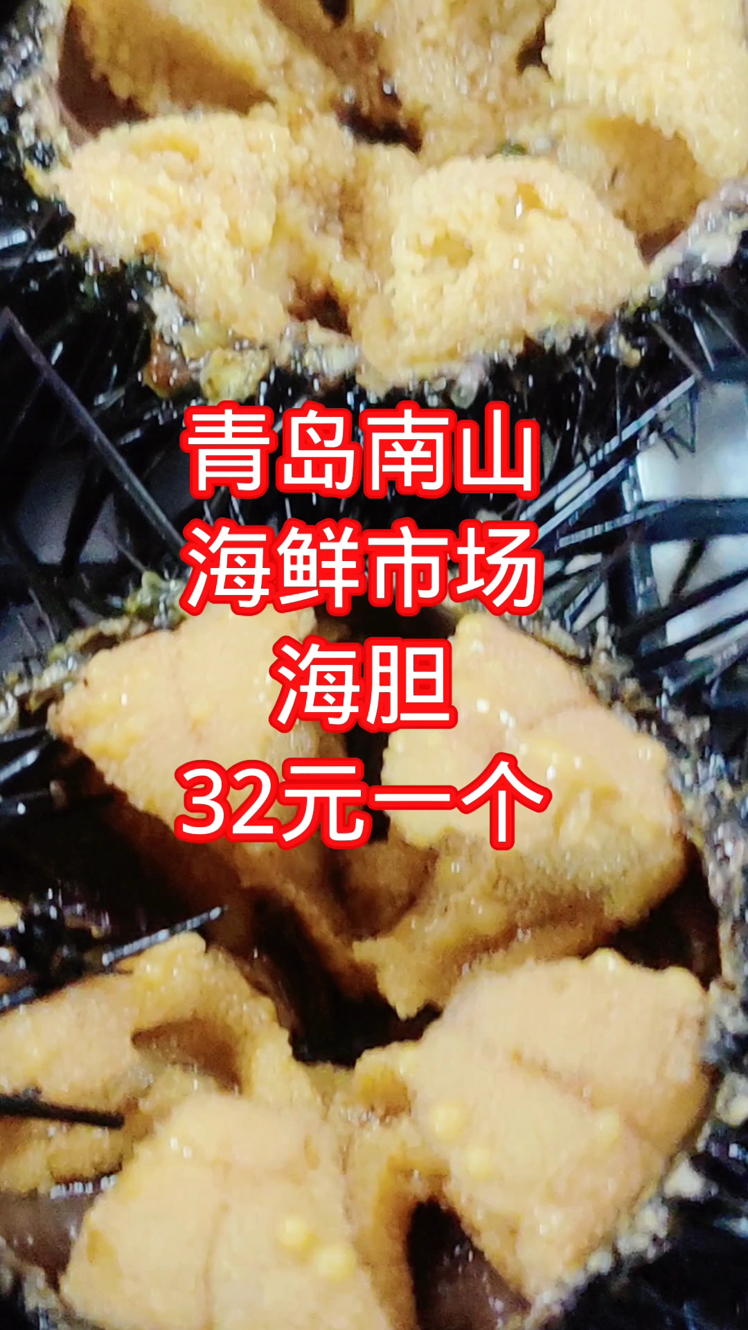 青岛南山海鲜市场,鲜海胆,32元1个
