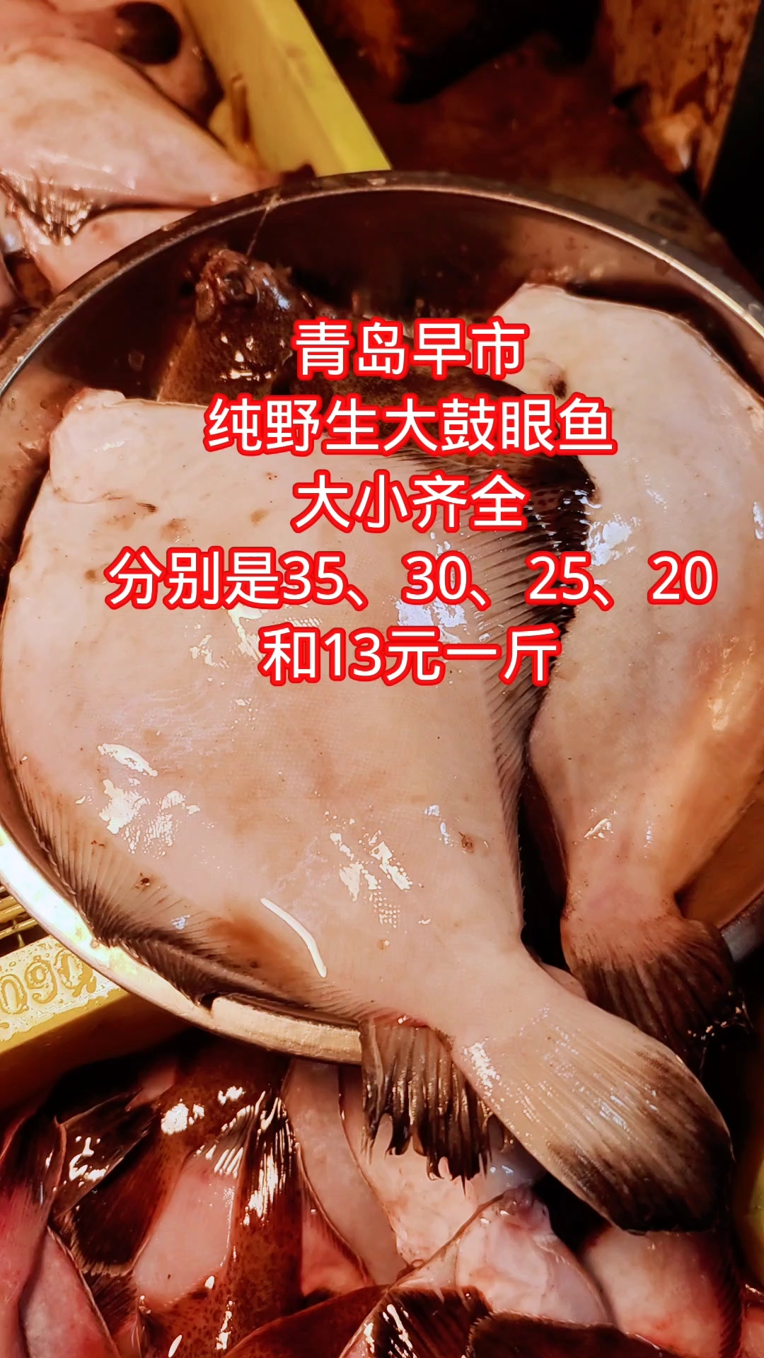 青岛，海鲜摊位纯野生鼓眼鱼品种全，13元至35元一斤
