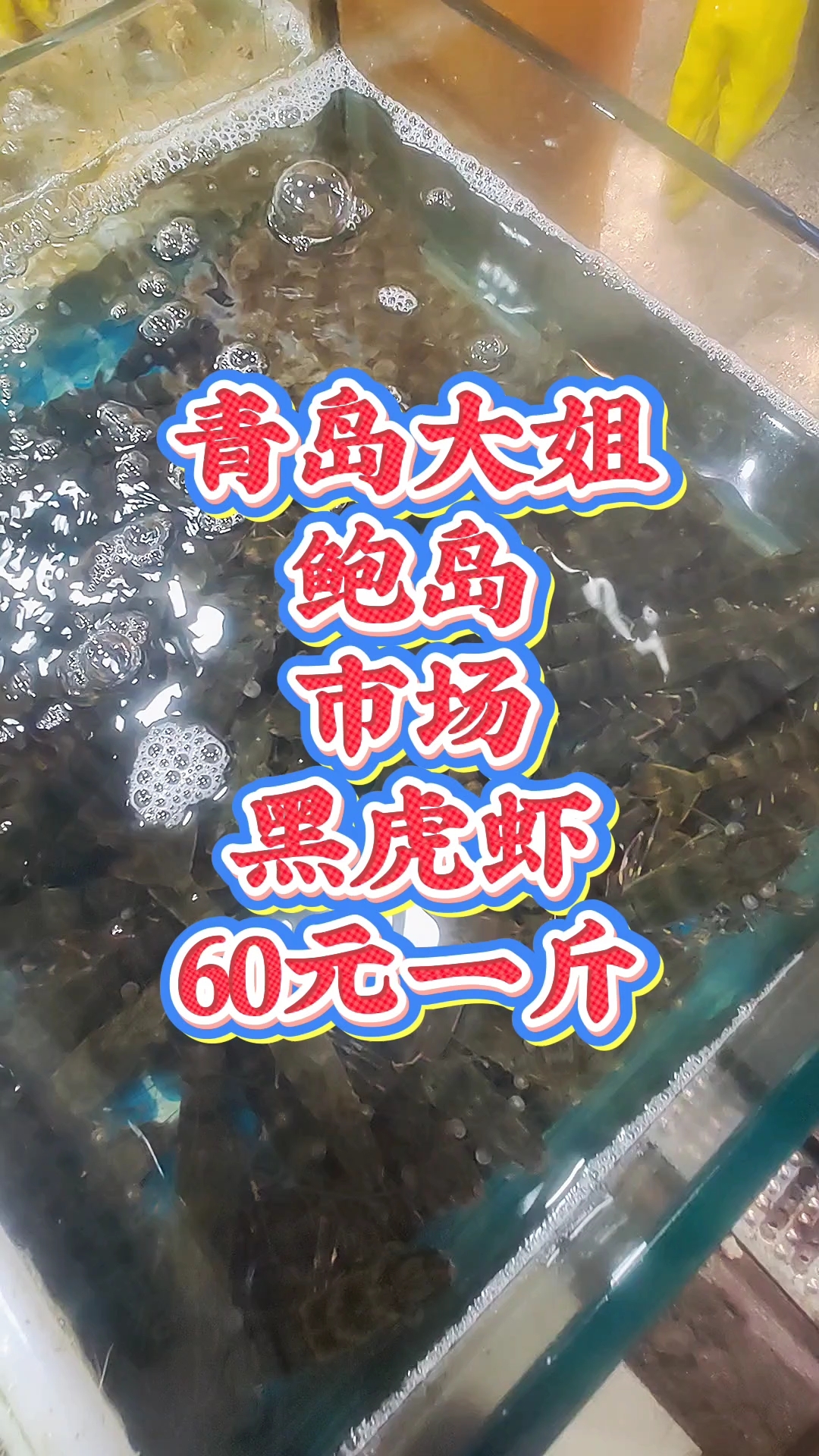 青岛大姐,鲍岛市场,黑虎虾60元一斤