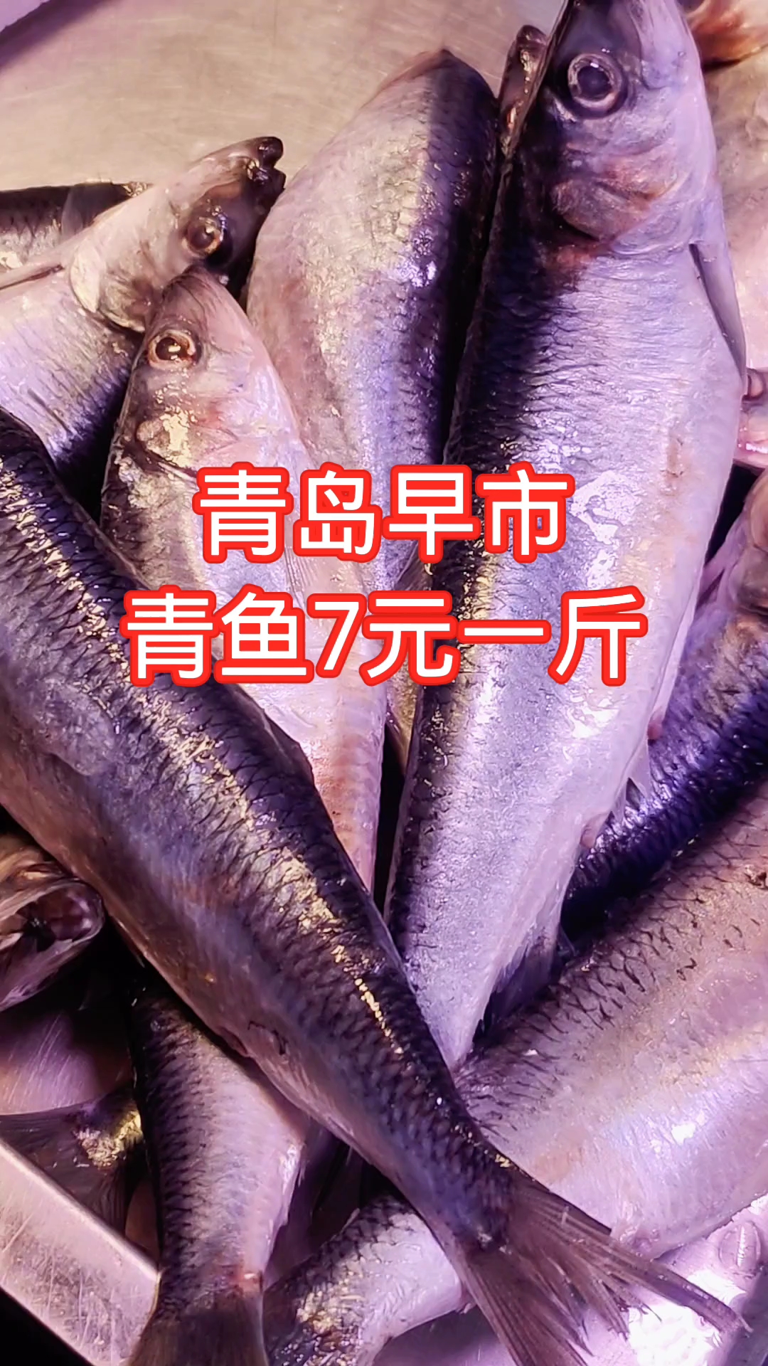 青岛早市,青鱼7元一斤,比以前贵了吗?