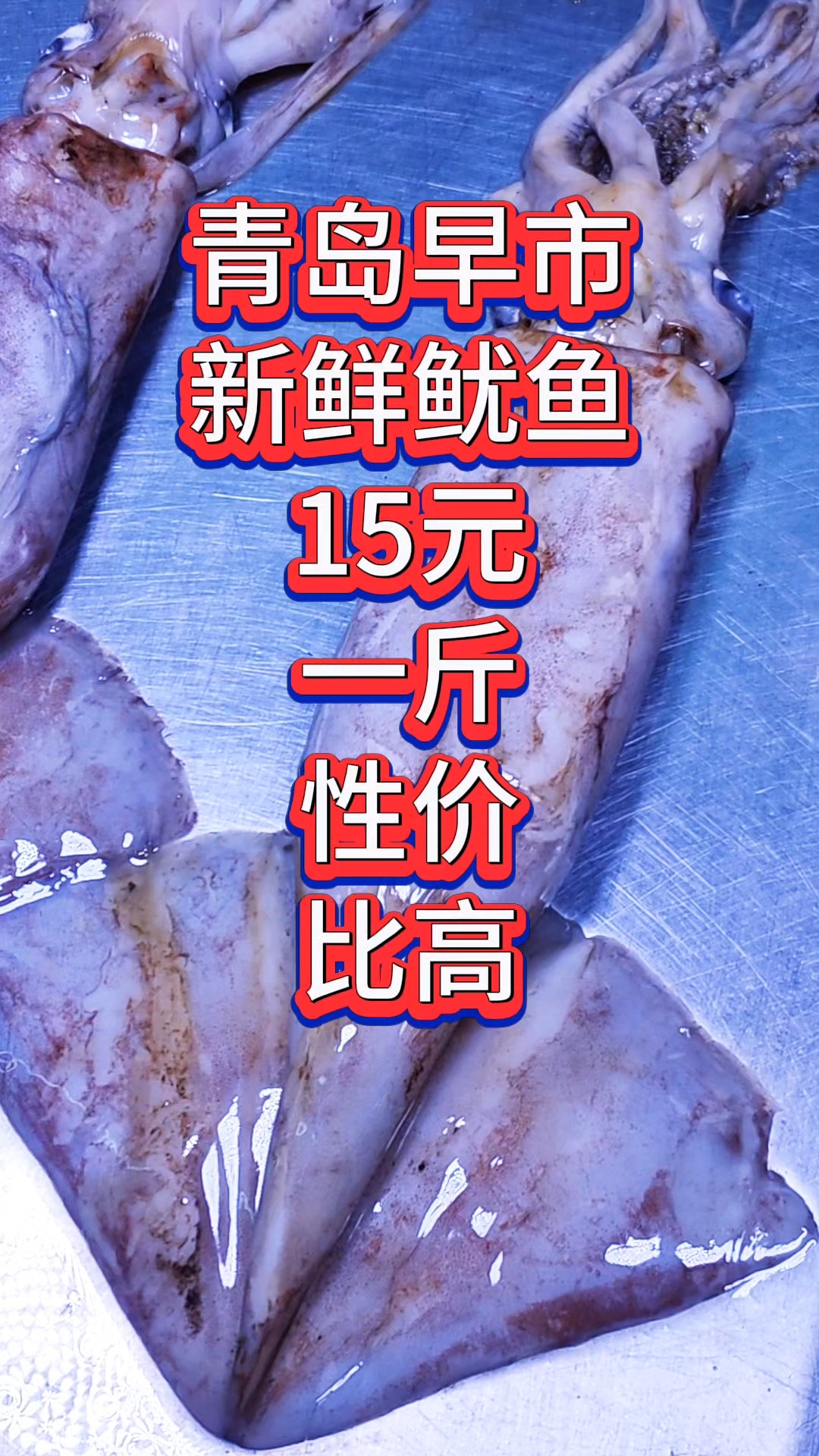 青岛早市,新鲜的鱿鱼15元一斤,性价比高#优质视频激励计划#