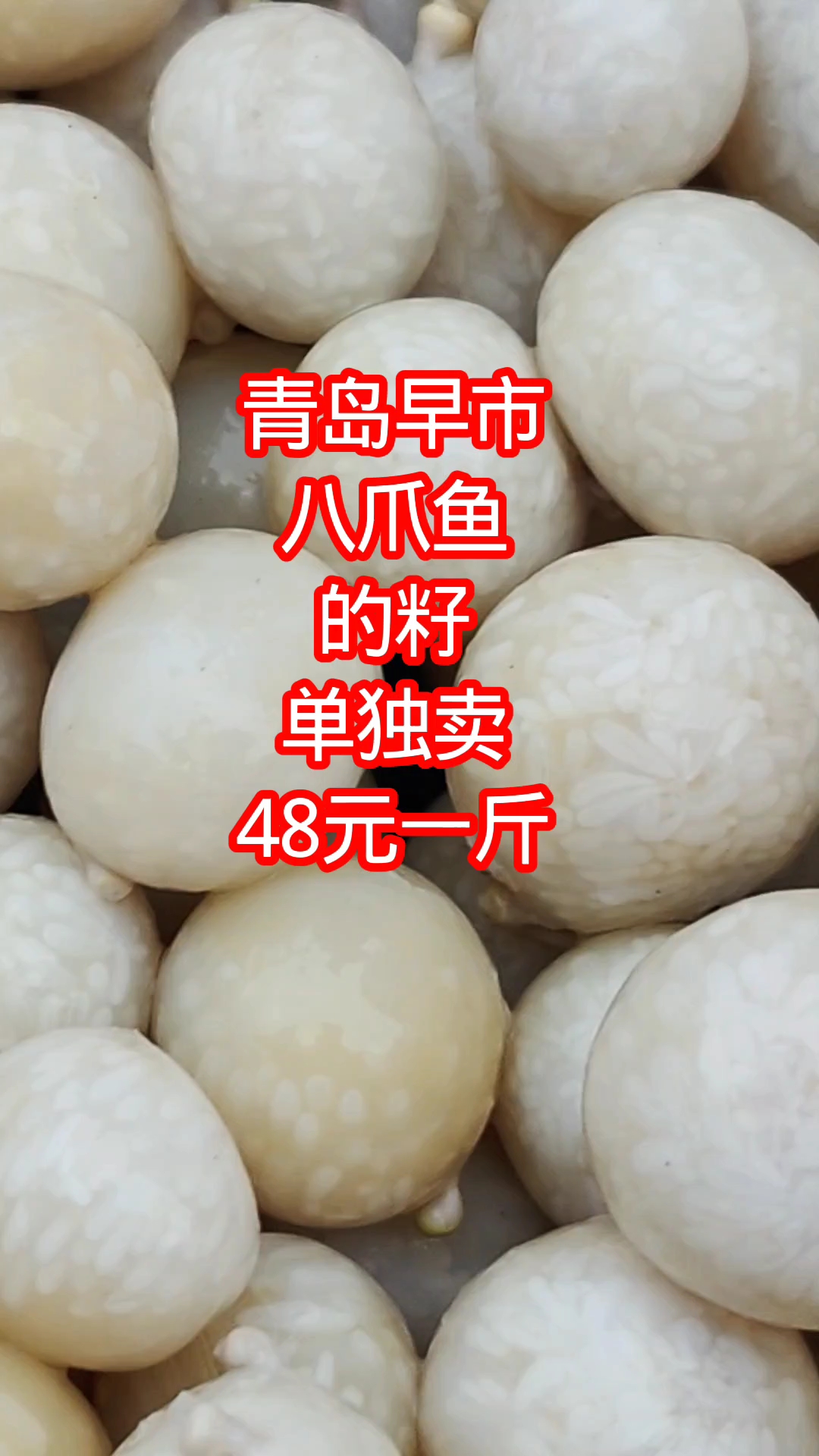 青岛早市，八爪鱼的鱼籽，单独卖，48元1斤，
