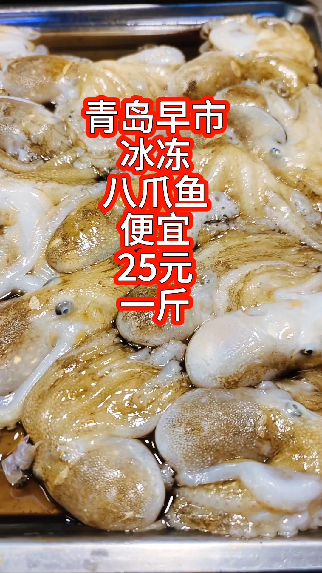 青岛早市,冰冻八爪鱼便宜,25元一斤