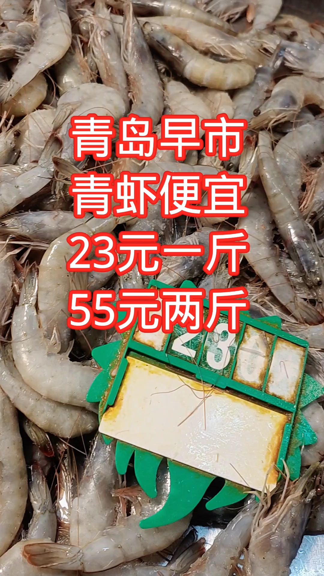 青岛早市,青虾便宜,23元一斤,55元两斤