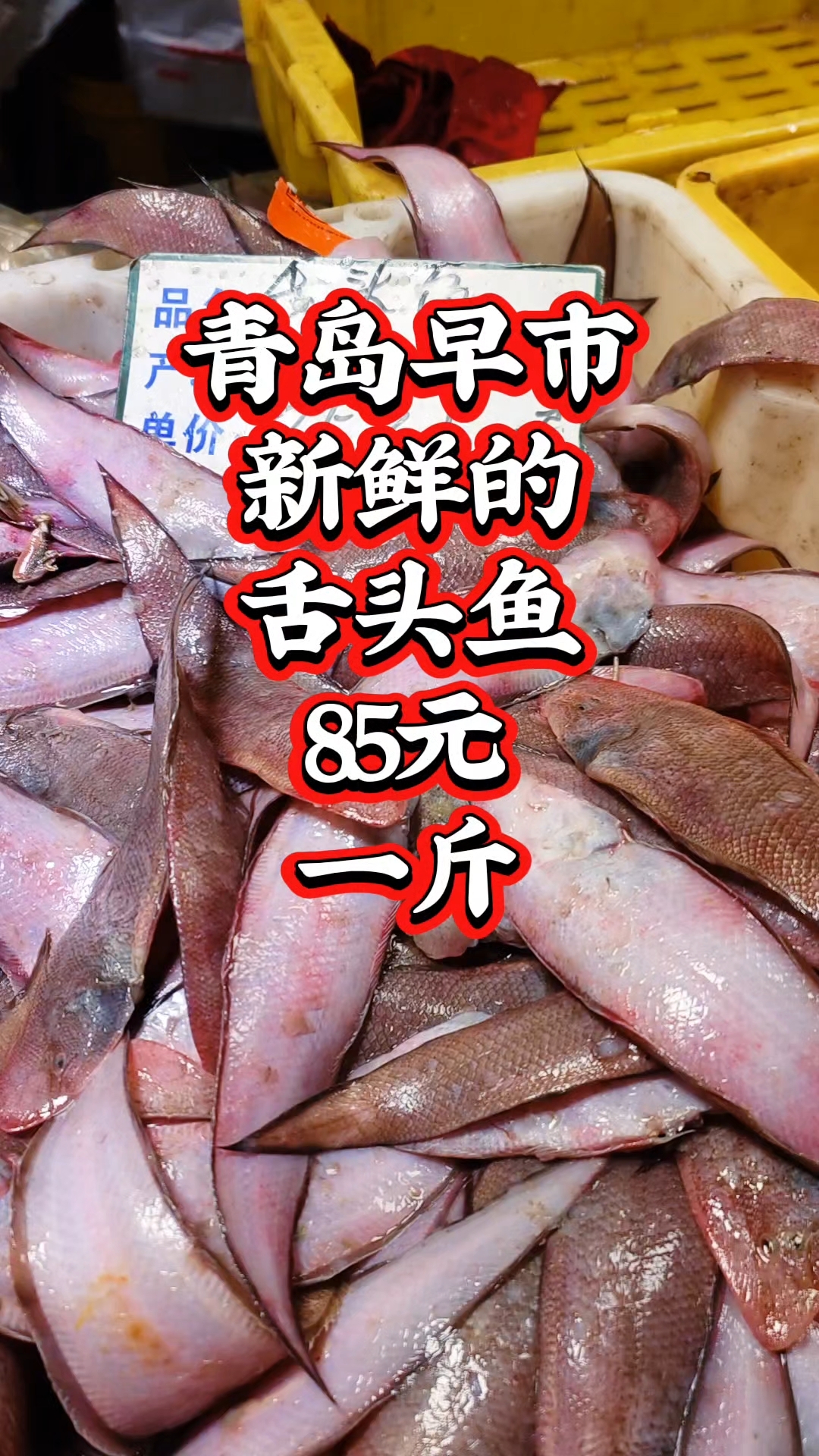 青岛早市，新鲜的舌头鱼，8.5元一斤
