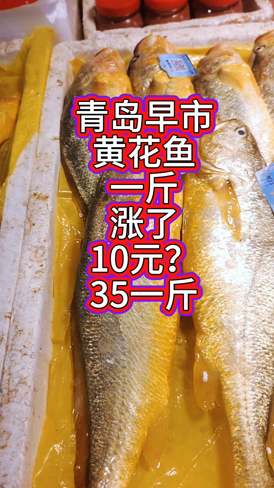 青岛早市,黄花鱼一斤涨了10元?35元一斤