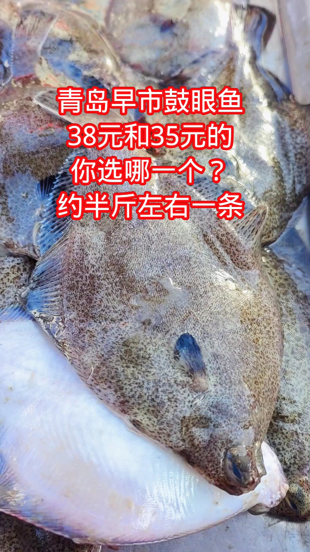 青岛早市鼓眼鱼肉质细腻,38元和35元一斤的,你选哪一款?