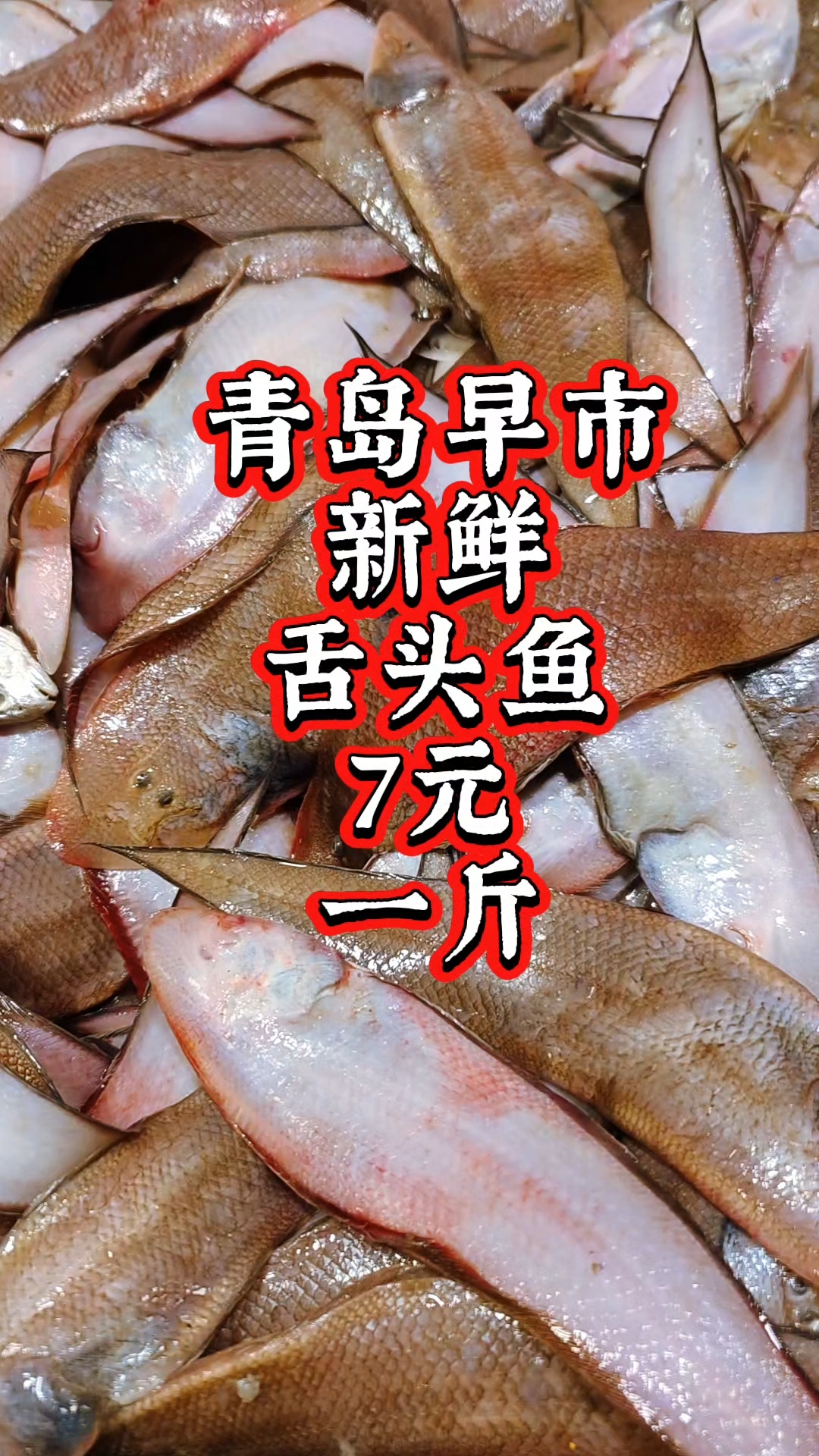 青岛早市,新鲜的舌头鱼,7元一斤