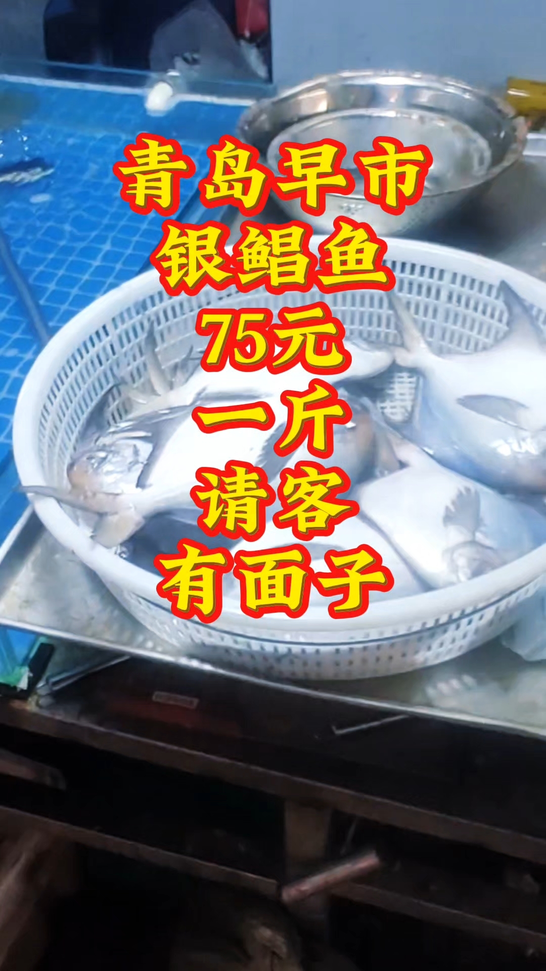 青岛早市，新鲜的银鲳鱼75元一斤，请客有面子#优质视频激励计划#