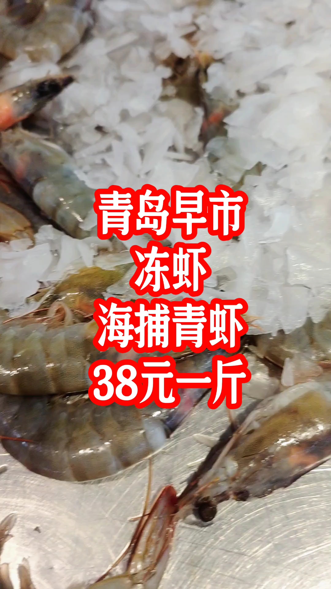 青岛早市,冻虾、海捕青虾,38元一斤