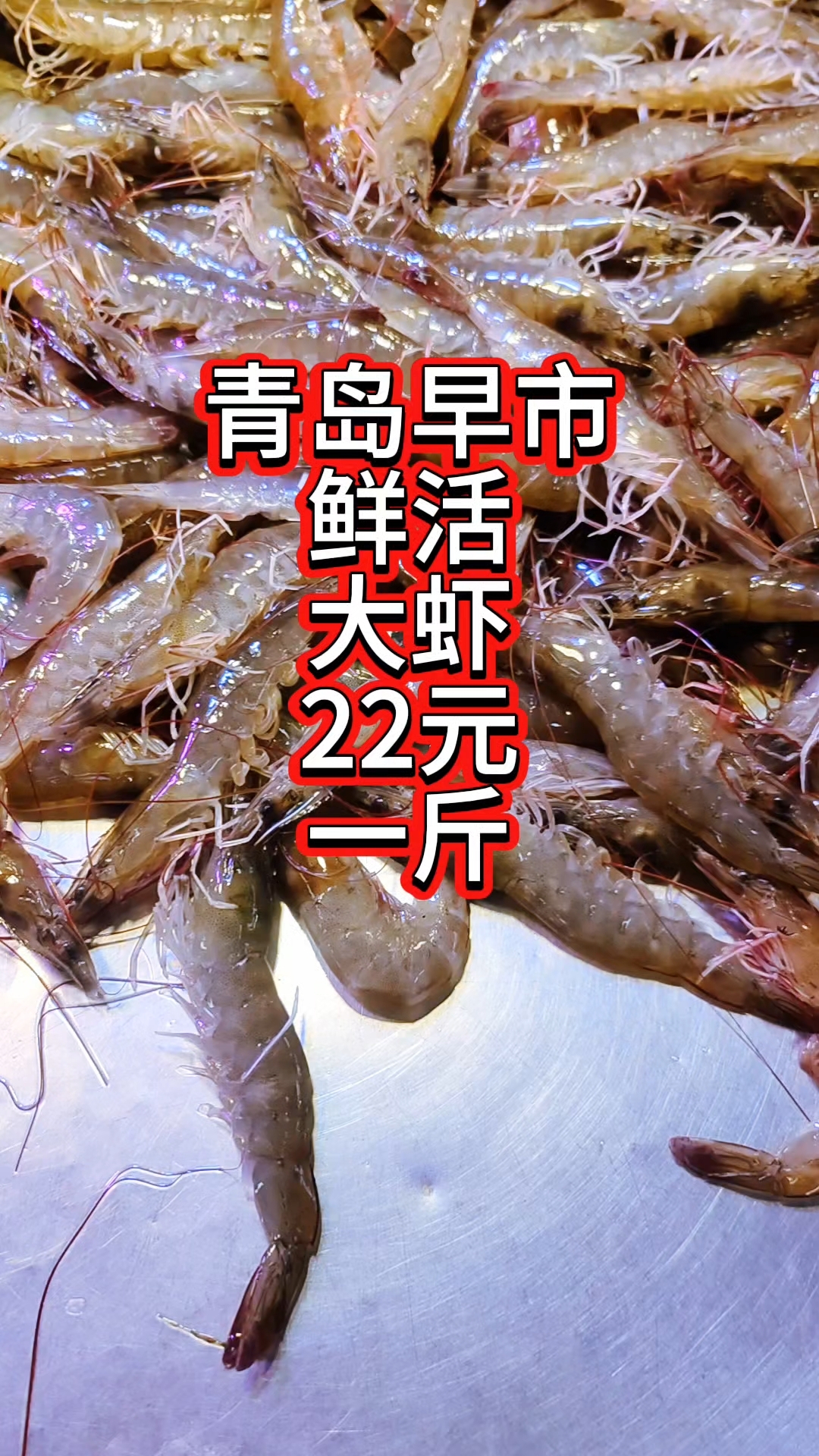 青岛早市,鲜活的大虾22元一斤,一斤20来只