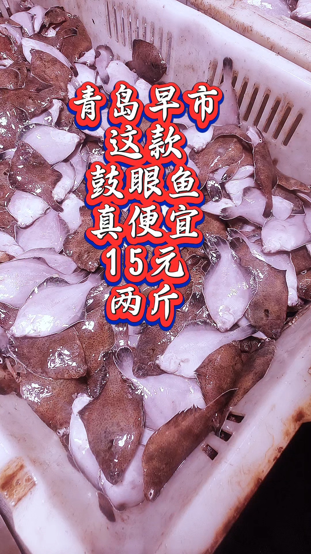 青岛早市,这款鼓眼鱼真便宜,15元两斤