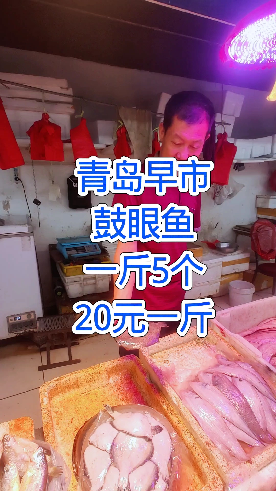 青岛早市，鼓眼鱼价格便宜，一斤5个，20元一斤