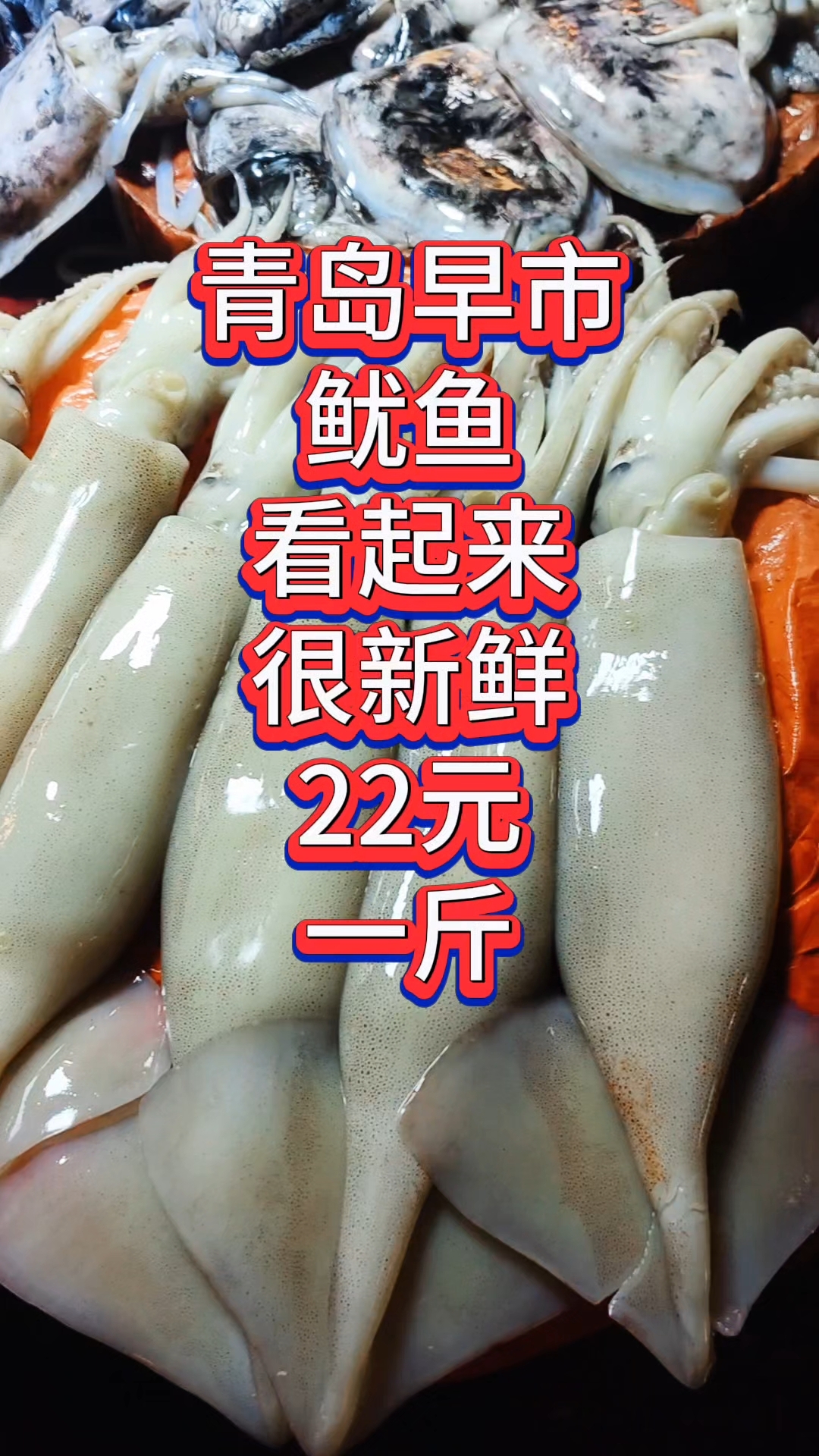 青岛早市,鱿鱼看起来很新鲜,22元一斤