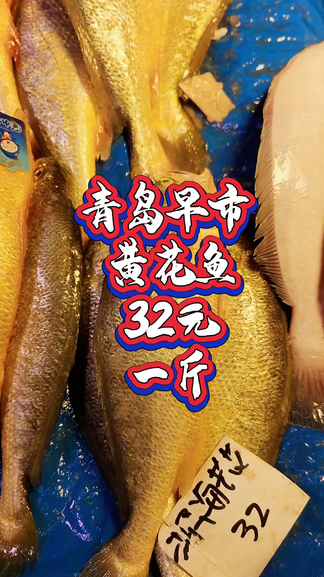 青岛早市,黄花鱼32元1斤 ,个头不小