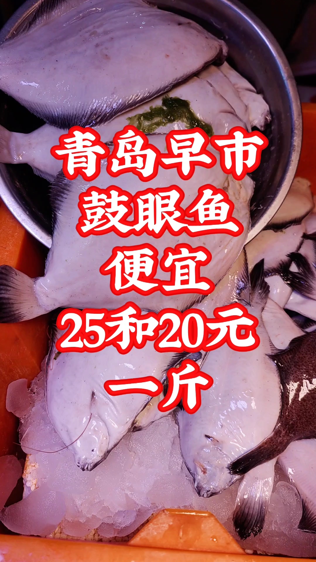 青岛早市，鼓眼鱼便宜，25和20元一斤