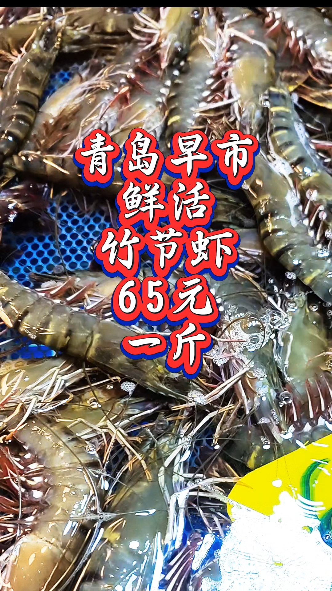 青岛早市,鲜活的竹节虾,65元一斤