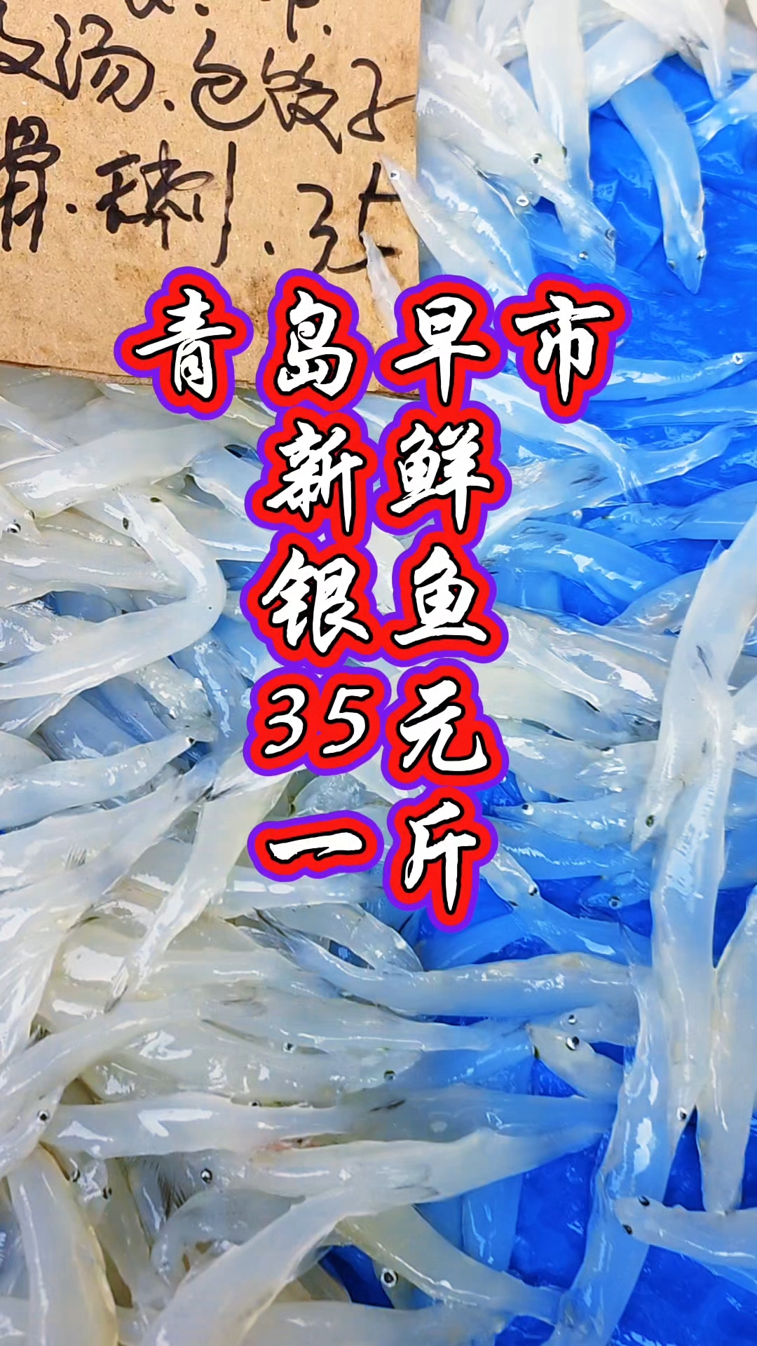 青岛早市,新鲜的银鱼,35元一斤