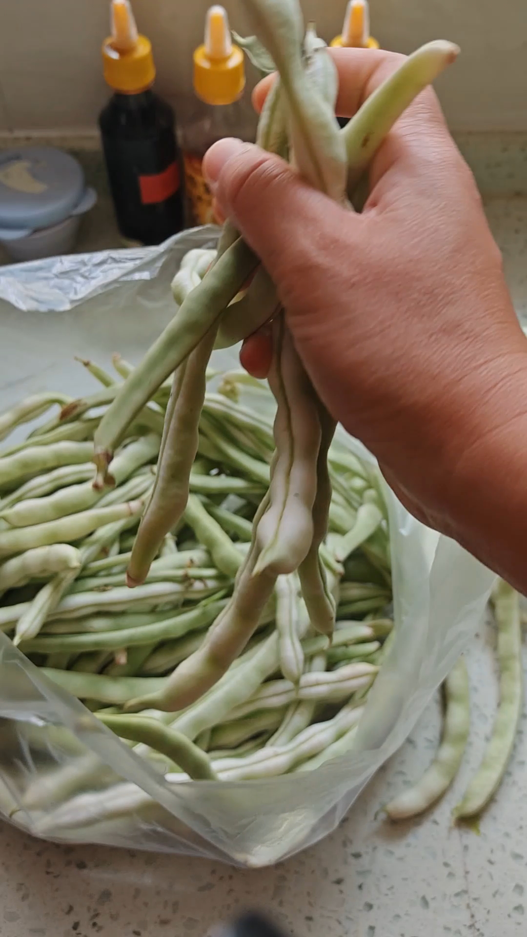 豆角丰收了,家常菜