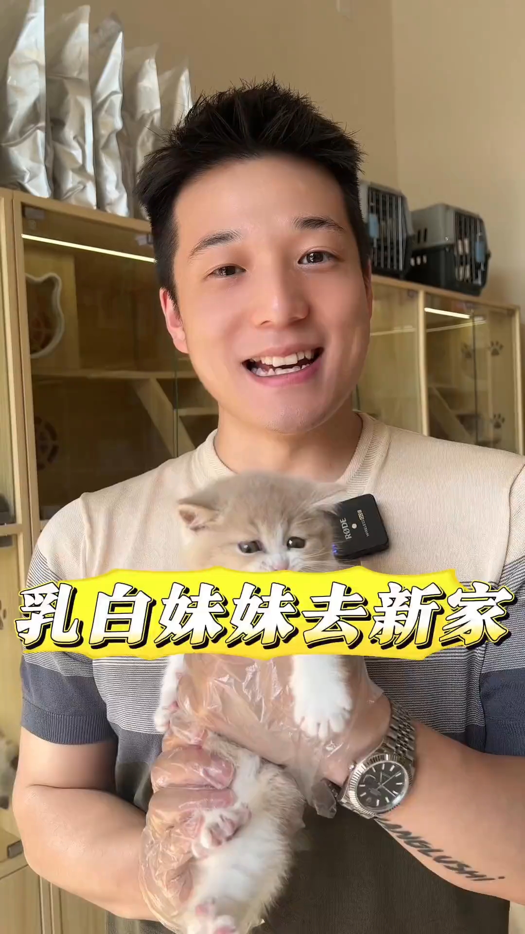 乳白妹妹去新家啦,感谢粉丝信任#英短乳白 #武汉买猫 #武汉