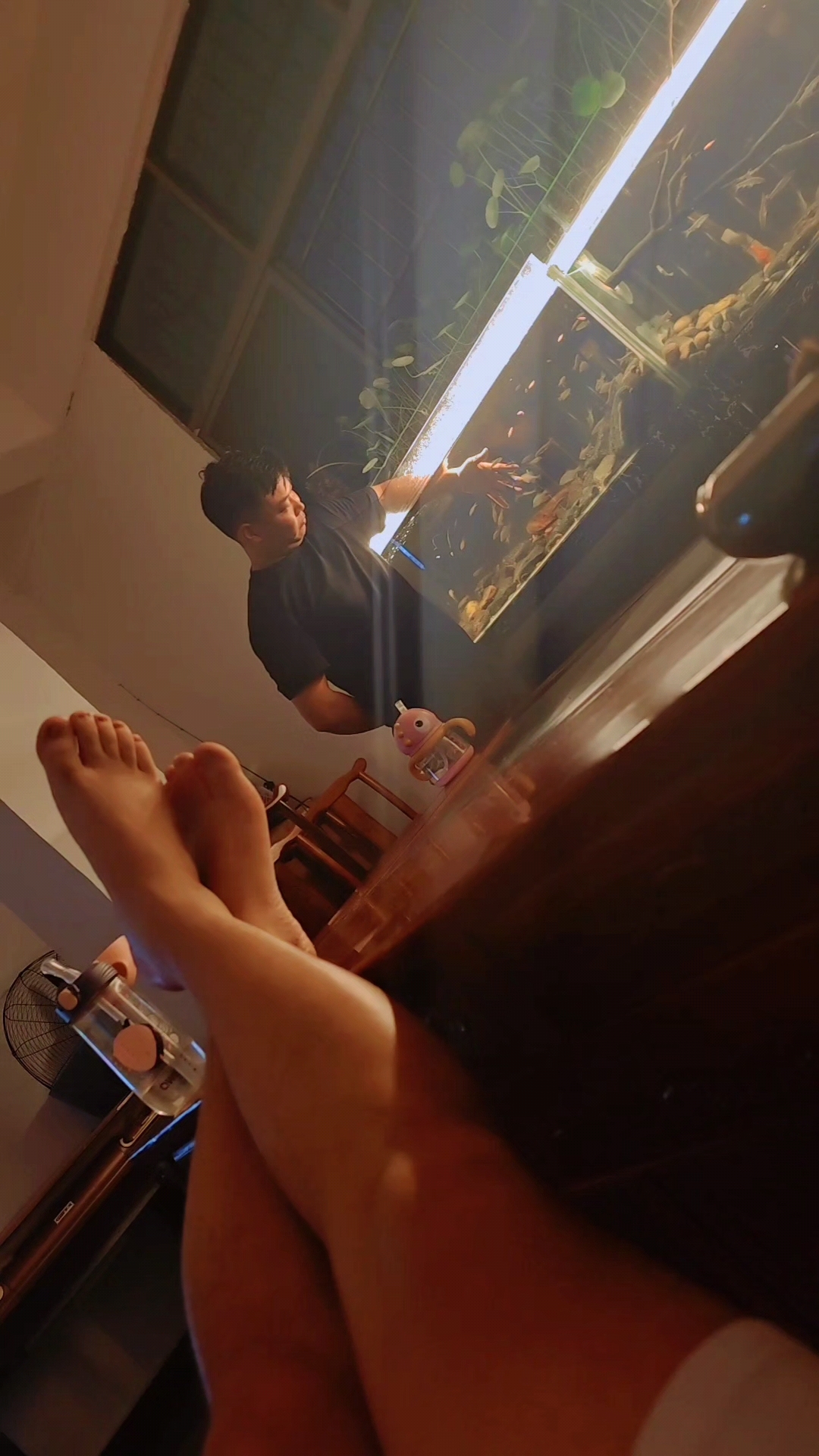  #普雷萨加纳利犬雷霆 赏鱼静心!