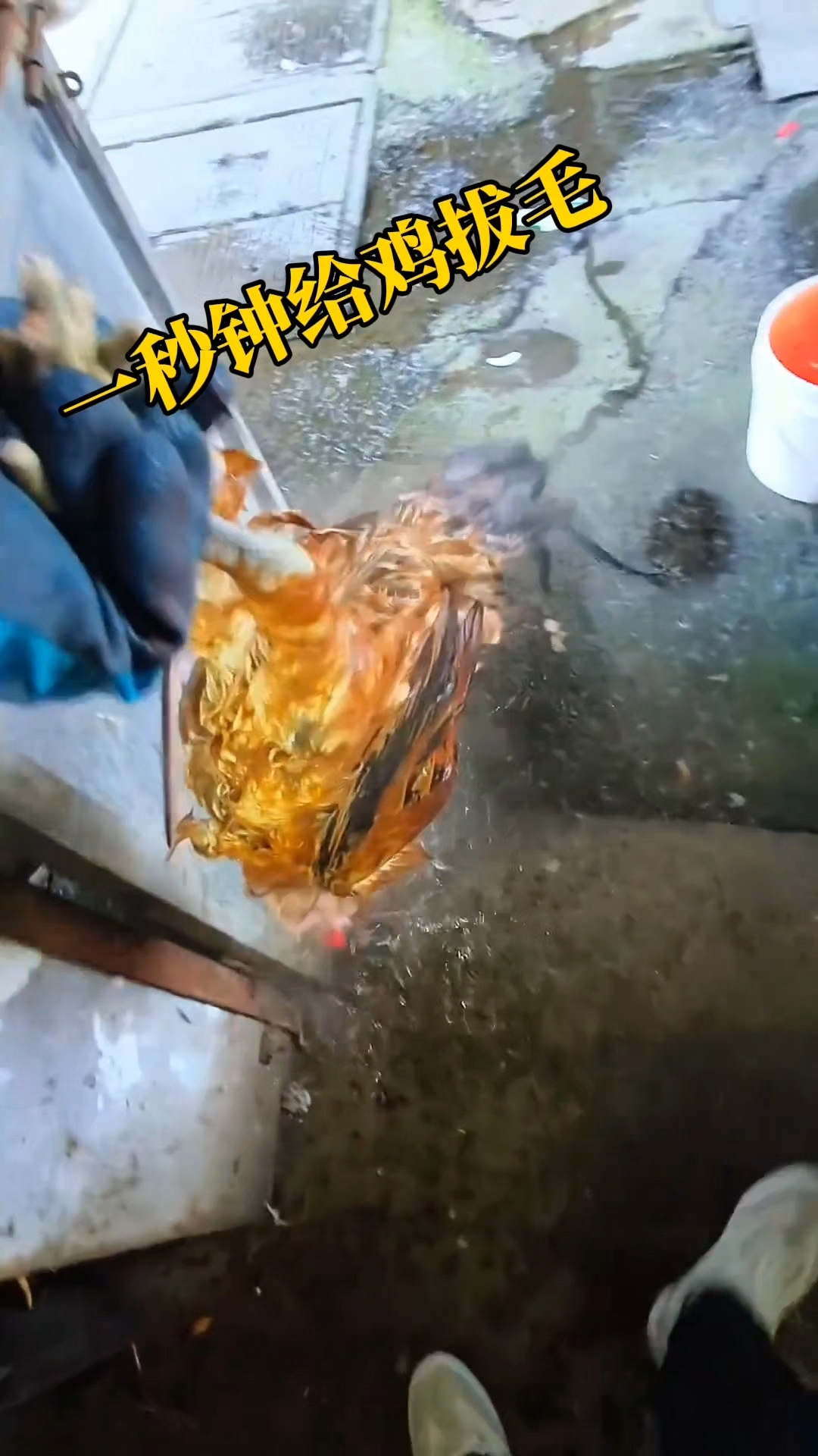 一秒钟就把鸡拔毛完