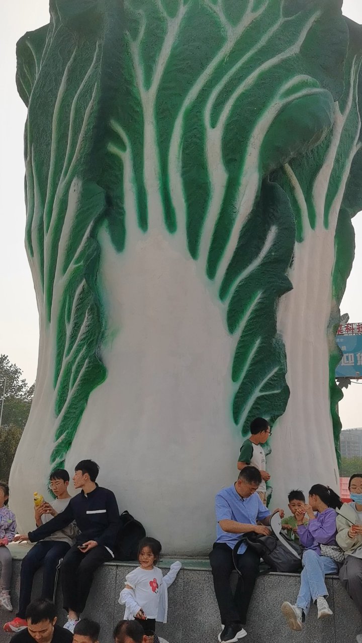 **寿光博览会广场蔬菜盛宴