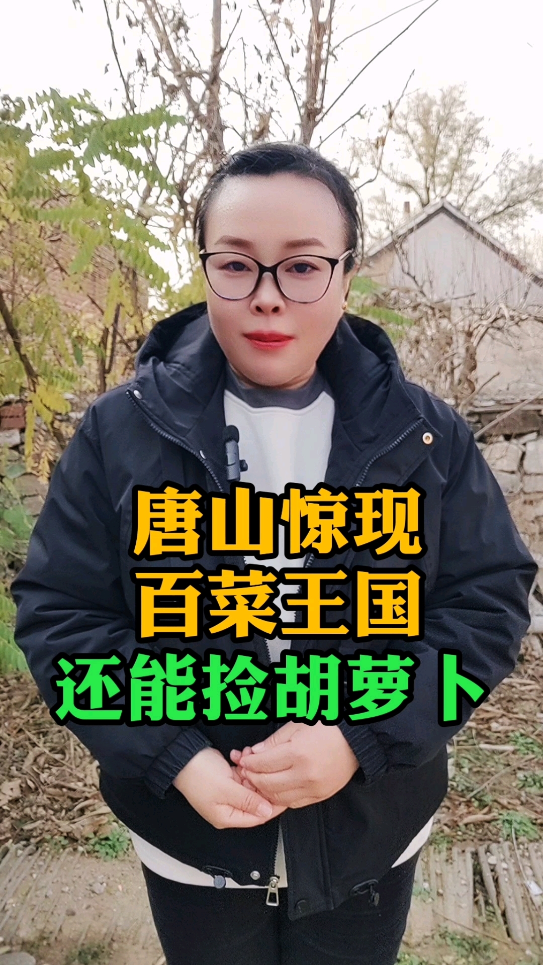 唐山惊现“百菜王国”还能捡胡萝卜