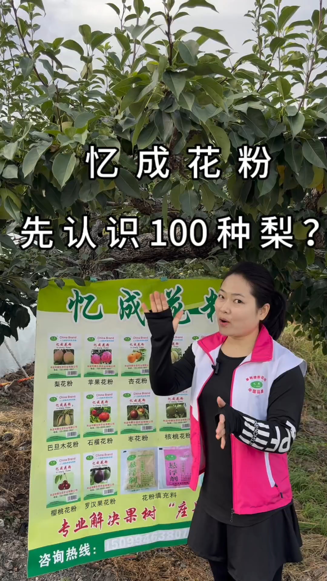忆成花粉  先认识100种梨?