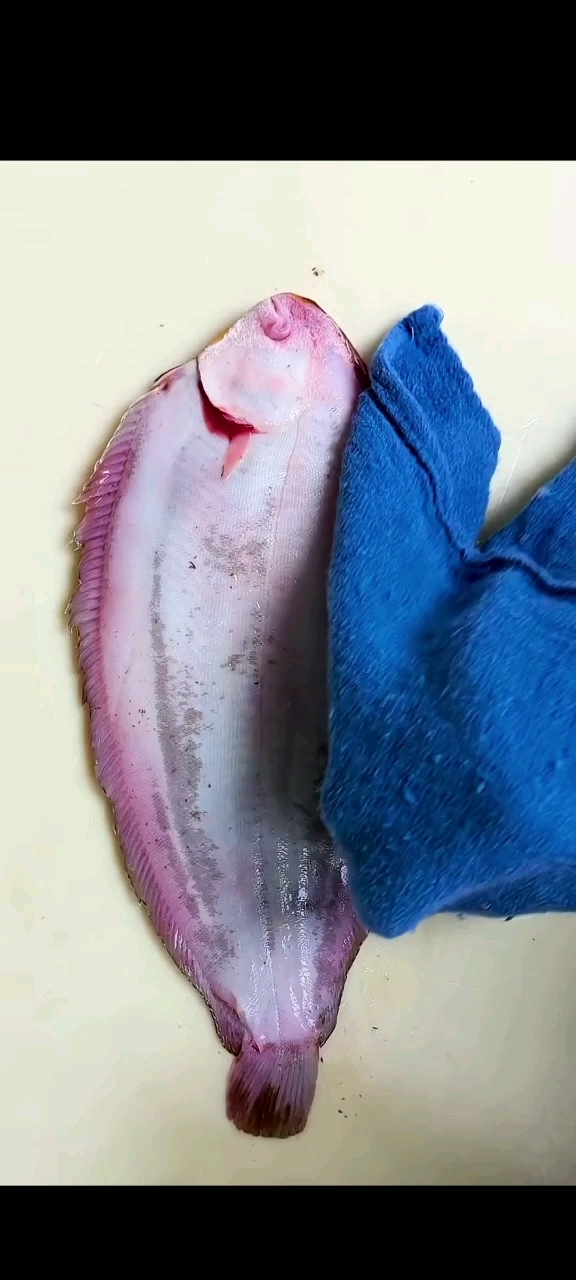 给扒皮鱼去皮