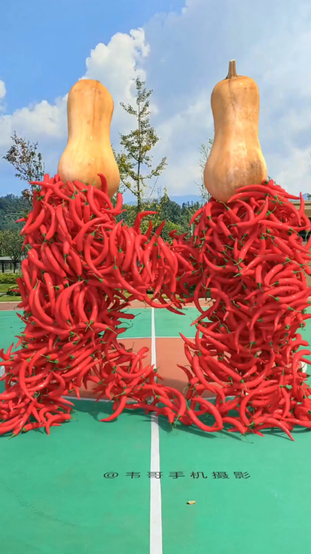 蔬菜水果对对碰