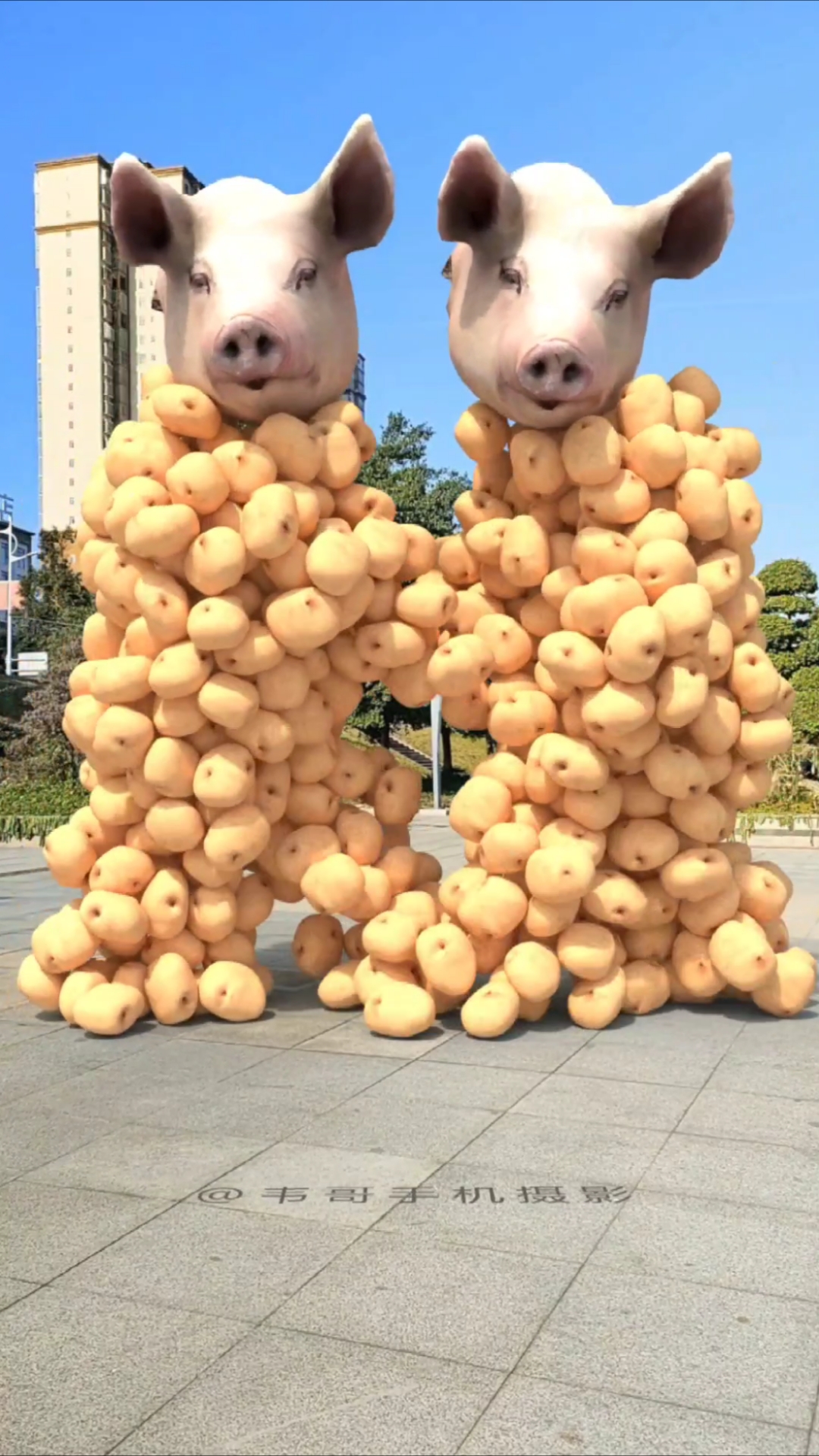 蔬菜对对碰脱落