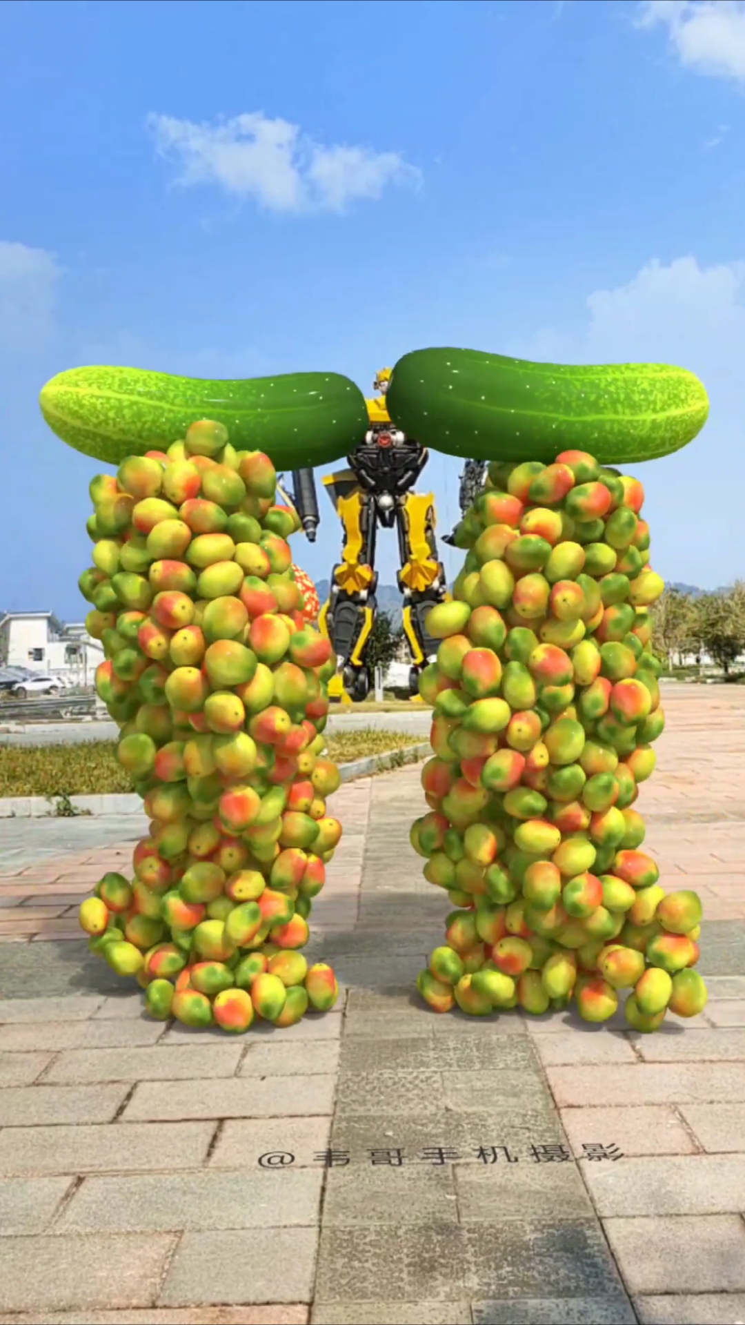 水果蔬菜对对碰