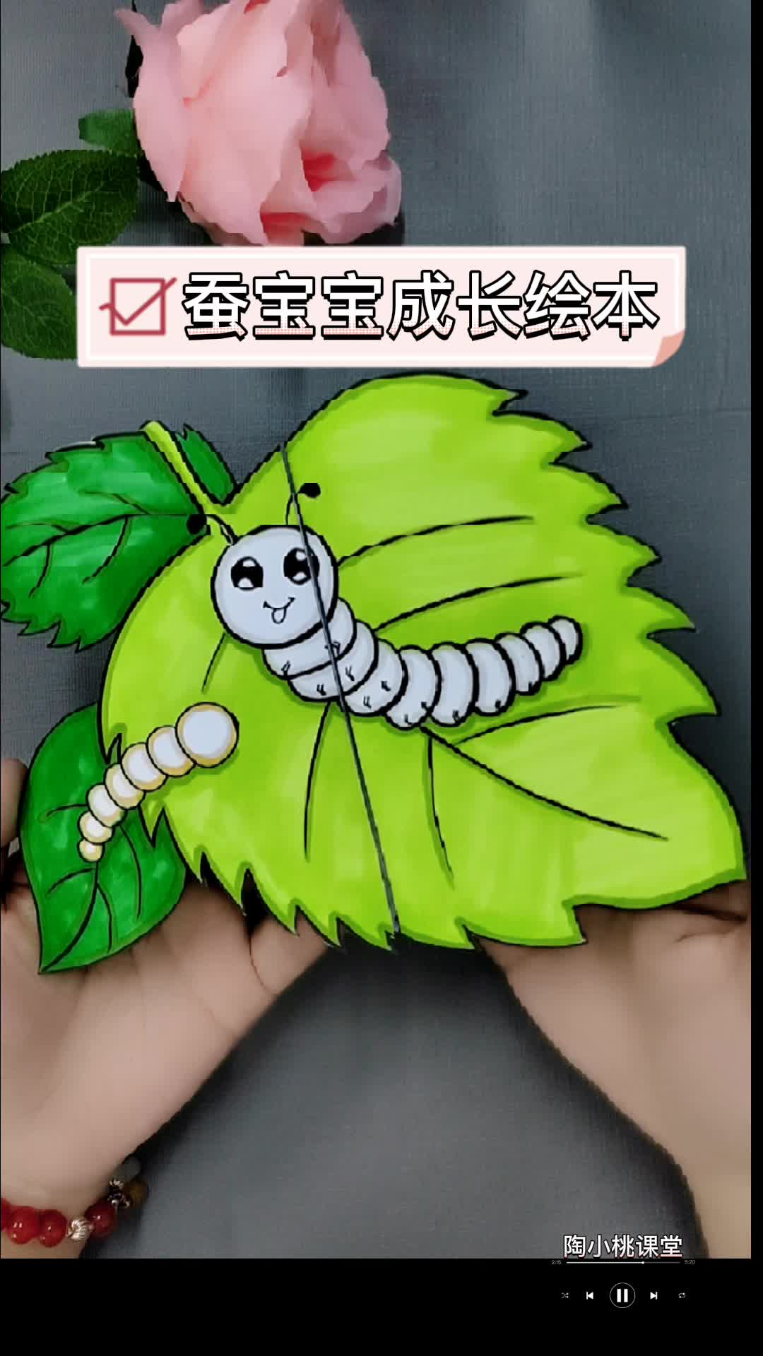 蚕宝宝成长绘本—创意绘画手工