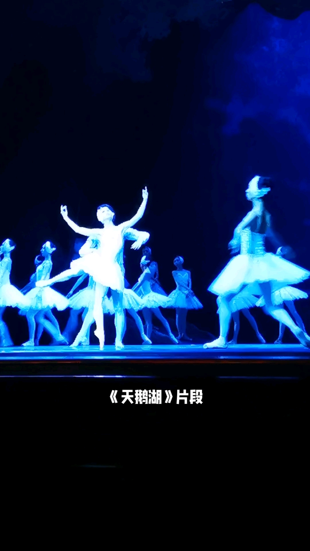 《天鹅湖》片段 上海芭蕾舞团演出 福建海峡交响乐团同台演奏