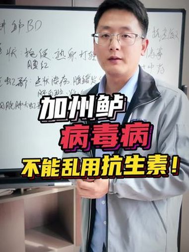 加州鲈鱼病毒爆发,千万不要乱用抗生素、杀虫!正确的处理方法是……加州鲈 加州鲈鱼苗 @渔民