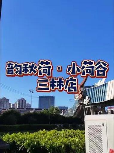 新品鲜椒手撕鸡上线!2-3人来吃100多!魔都美食 本帮江浙菜 上海之夏 聚会好地方