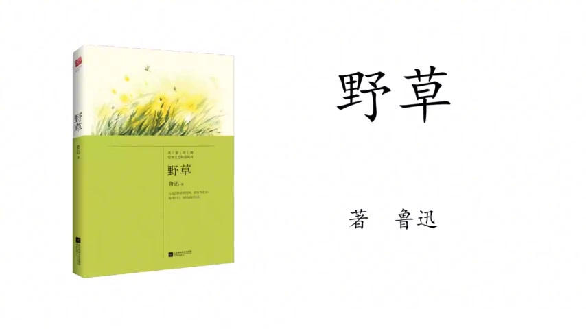 [图]12.鲁迅《野草》野草·过客