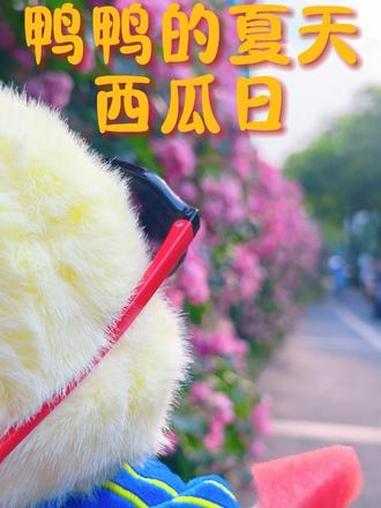 美好的夏天——从一块西瓜开始！#鸭鸭的夏天#南南鸭