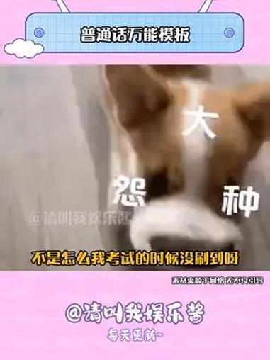 但凡我早几年刷到呢 普通话考试 娱乐 搞笑