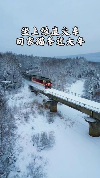 雪落无声,思念有情,你还记得家乡的绿皮火车吗?是不是下雪了就想起家乡的父母了呢,以前的小村