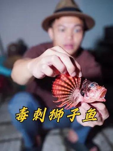 赶海抓到剧毒狮子鱼,遇到千万不要碰!2024新农人计划 赶海 海边生活 真实赶海 大海的馈