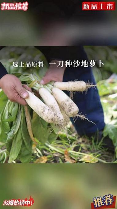 萧山萝卜干非遗认证农家三晒三腌自然风干咸甜适宜干脆爽口200g#萧山萝卜干 #非遗美食 #