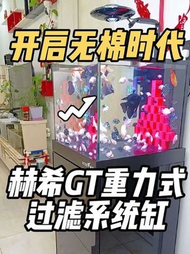 借此视频回馈粉丝抽奖活动，名额100份，跨时代产物，颠覆水族领域，开启无棉时代，赫希GT重