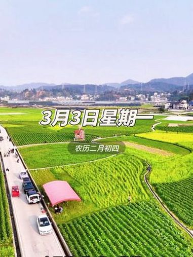 生活或许平淡,但我们可以用努力让它闪闪发光。每一个周一都是新的契机,为自己的目标全力以赴吧