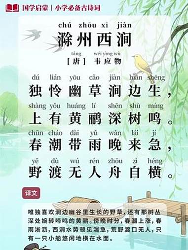 《滁州西涧》——注音/译文版 最是喜爱涧边生长的幽幽野草,还有那树丛深处婉转啼唱的黄鹂。春