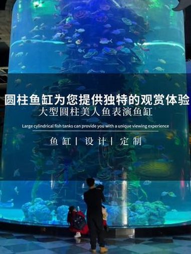 无论什么样的场所,大型圆柱鱼缸都能为您提供独特的观赏体验 圆柱鱼缸 大型鱼缸制作 鱼缸定制