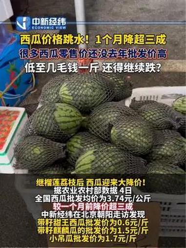 西瓜价格跳水 1个月降超三成 很多 西瓜 零售价还没去年批发价高 低至几毛钱一斤,还得继续