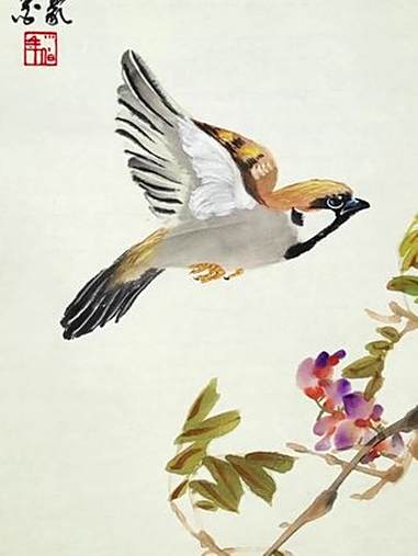 国画麻雀画法 四步画飞翔的麻雀 上热门 国画 花鸟画 国风古韵 张豪水墨