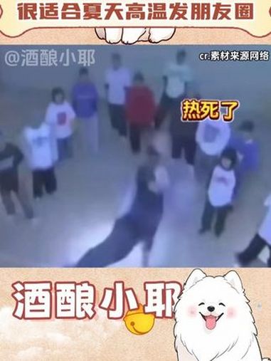 杭州天气怎么回事 发疯日常 热 抽象 炸裂 搞笑